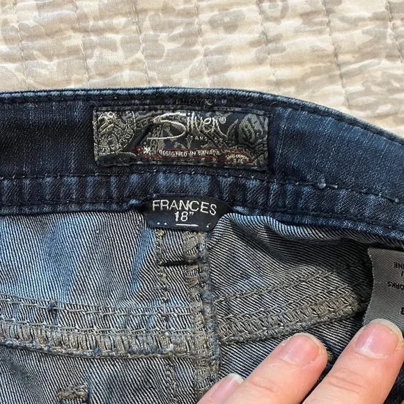 Silver Frances - Picture 10 of 10